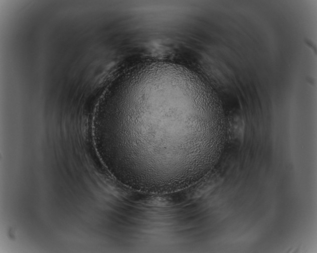 X0000093440656200710121334