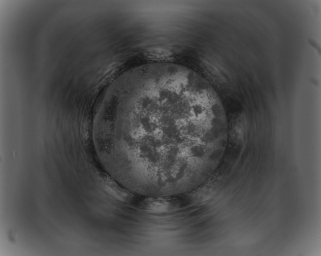 X0000093440658200710121334