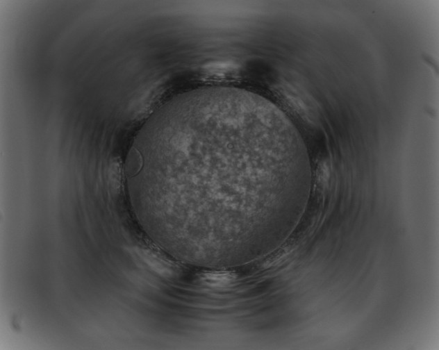 X0000093440659200710121334