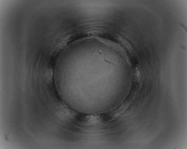 X0000093440660200710121334