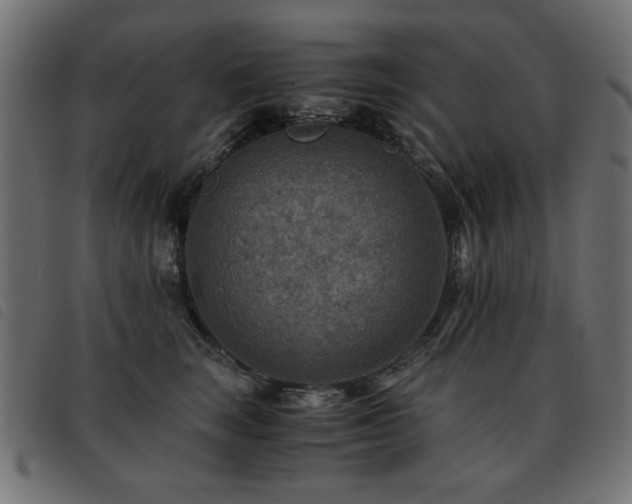 X0000093440663200710121334