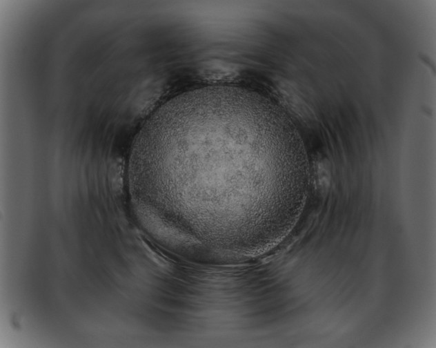 X0000093440664200710121334
