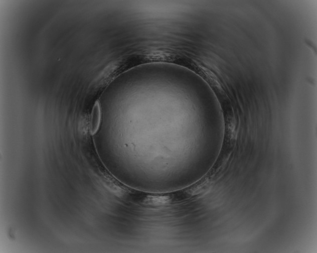 X0000093440665200710121334
