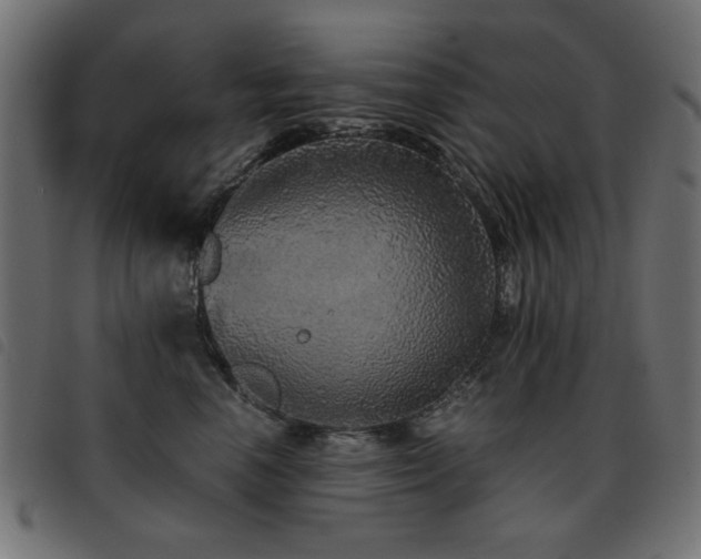 X0000093440666200710121334