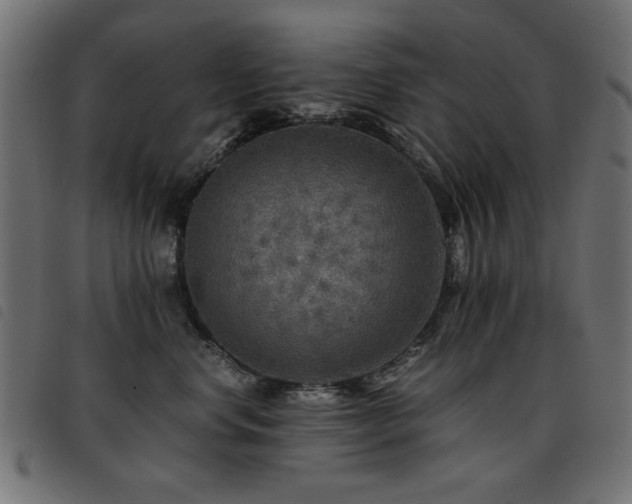 X0000093440668200710121334