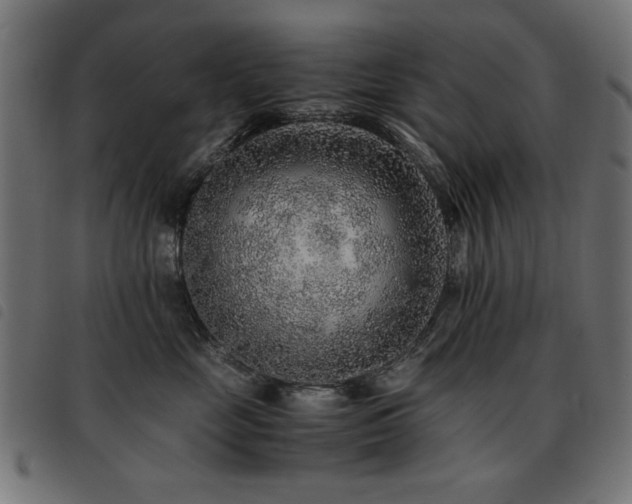 X0000093440669200710121334