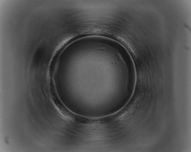 X0000093440674200710121333