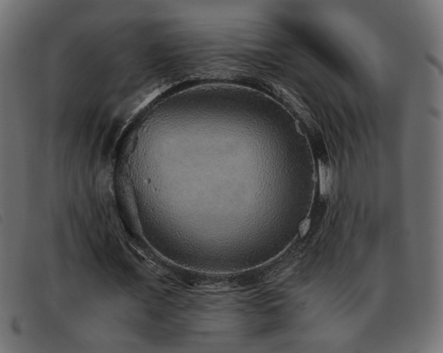 X0000093440675200710121333