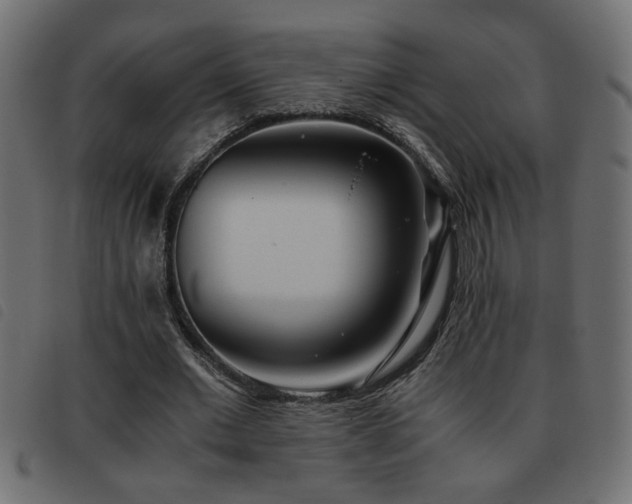 X0000093440677200710121333