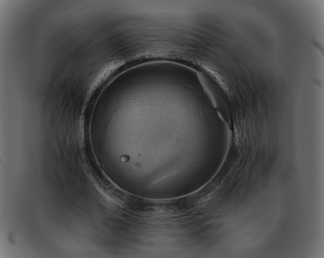 X0000093440678200710121333
