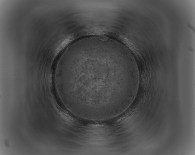 X0000093440679200710121333