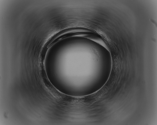 X0000093440680200710121333