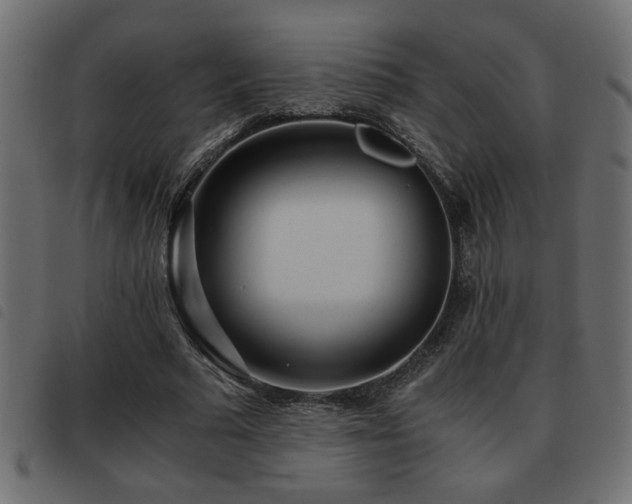 X0000093440681200710121333