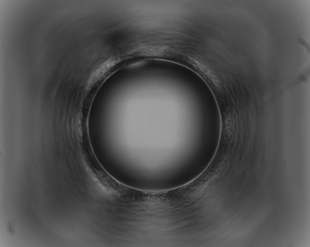 X0000093440682200710121333