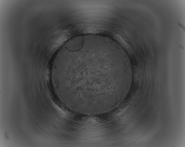 X0000093440683200710121333