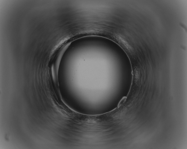 X0000093440684200710121333