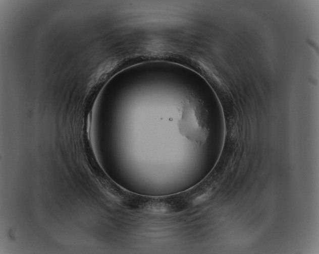 X0000093440685200710121333