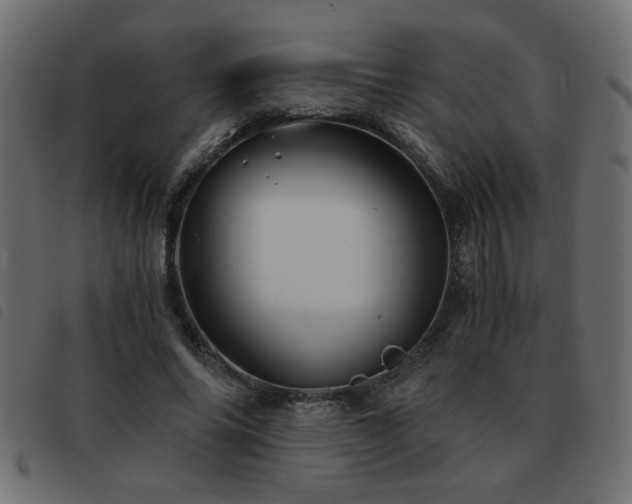 X0000093440686200710121333