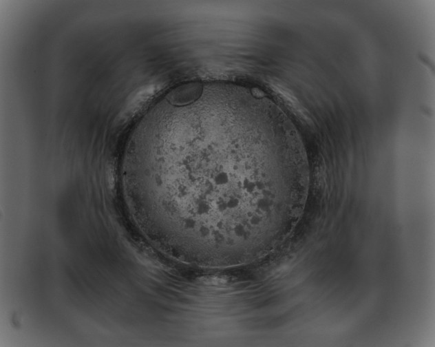 X0000093440687200710121333