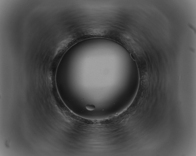 X0000093440688200710121333