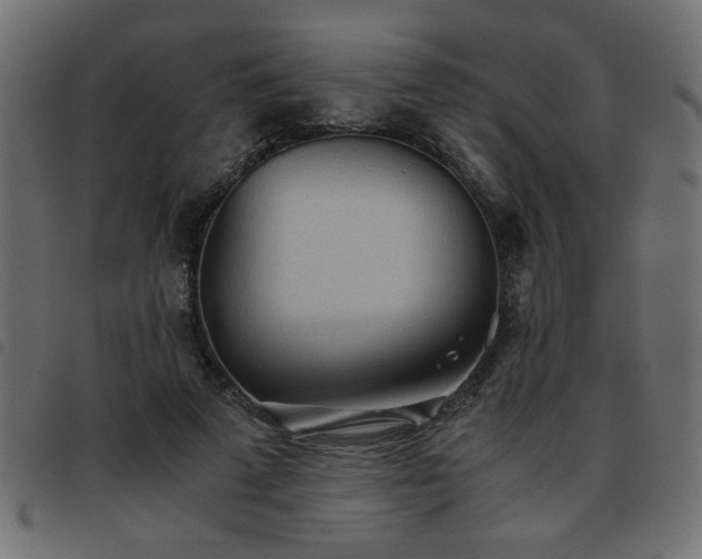 X0000093440689200710121333