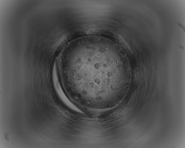 X0000093440691200710121333