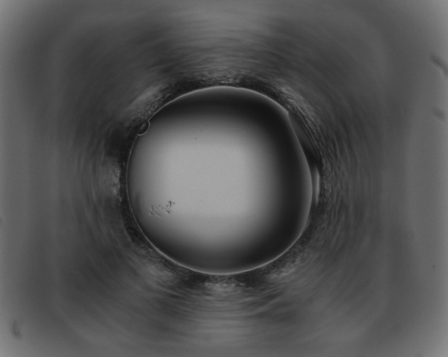 X0000093440693200710121333