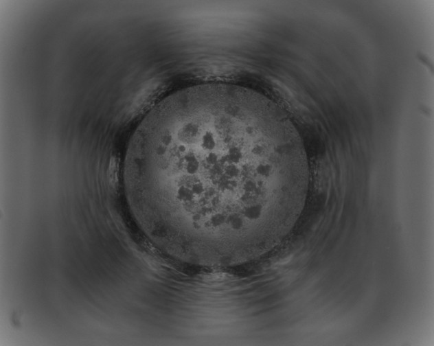 X0000093440695200710121333
