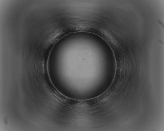 X0000093440696200710121333
