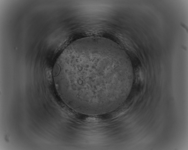 X0000093440699200710121333