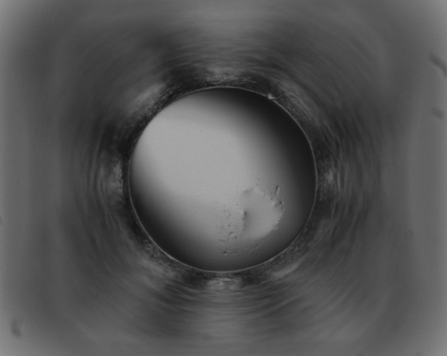 X0000093440700200710121333