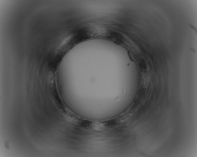 X0000093440701200710121333