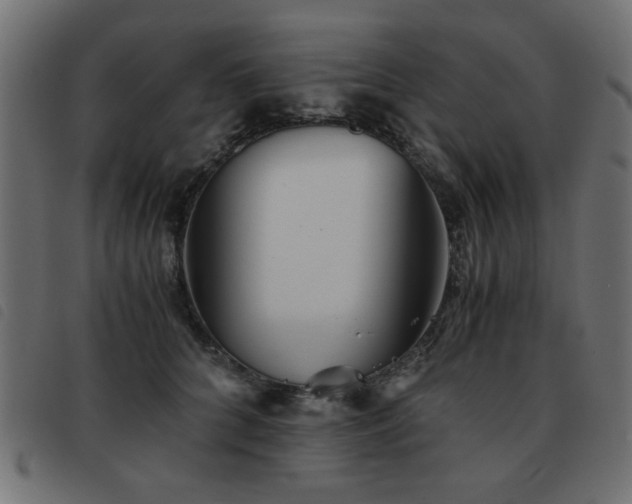 X0000093440704200710121333