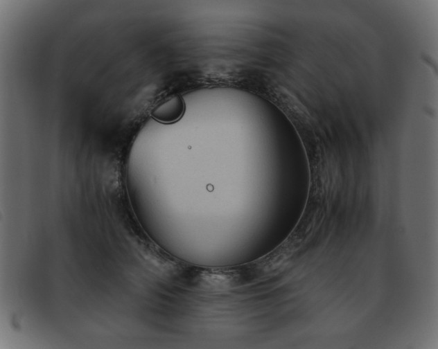 X0000093440706200710121333