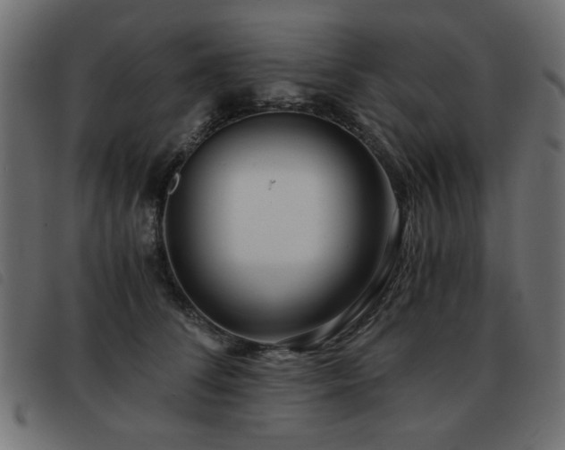 X0000093440708200710121333