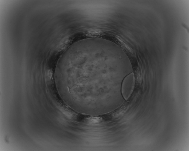 X0000093440711200710121333