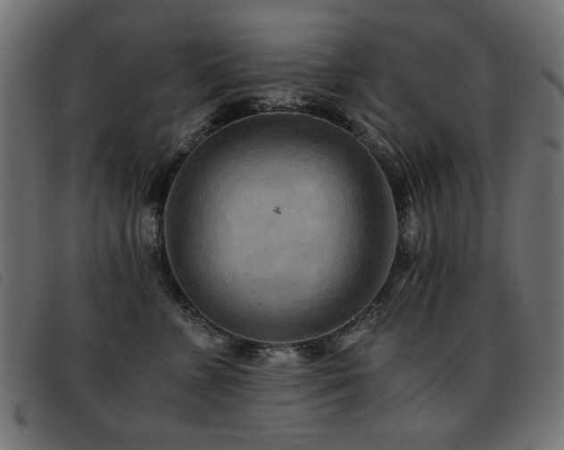 X0000093440715200710121333