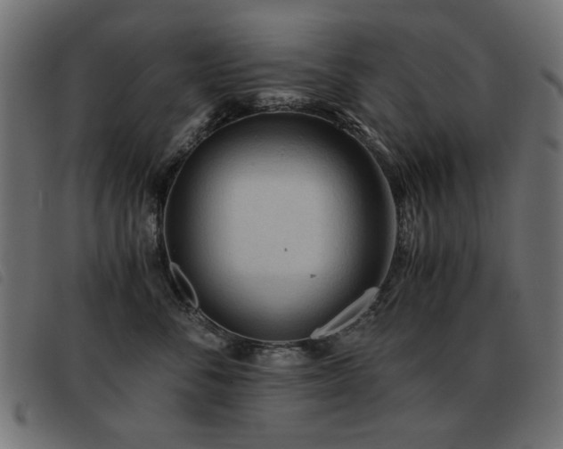 X0000093440716200710121333