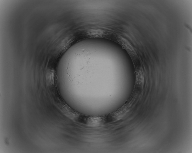 X0000093440717200710121333