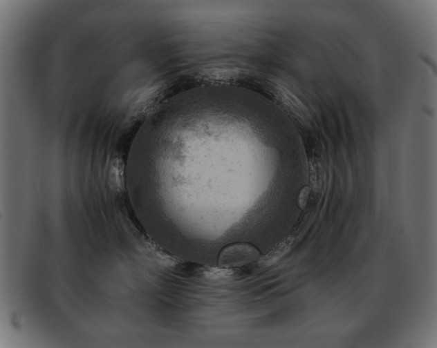 X0000093440718200710121333