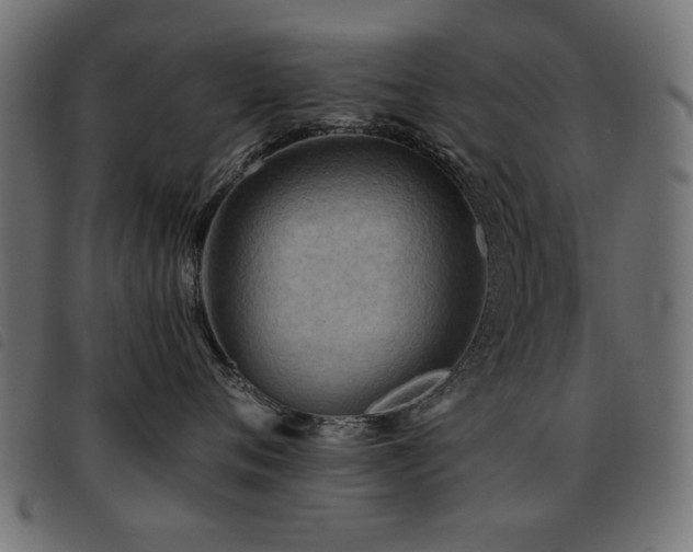 X0000093440720200710121333