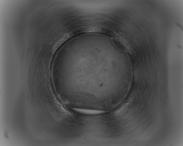 X0000093440721200710121332
