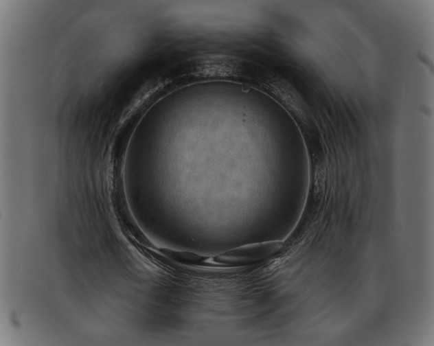 X0000093440722200710121332