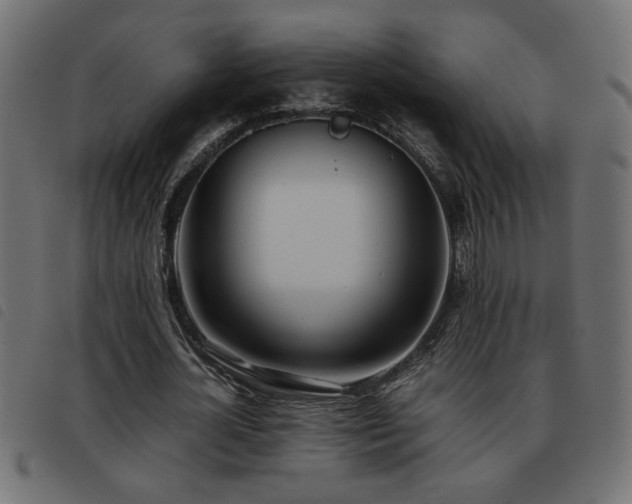 X0000093440724200710121332