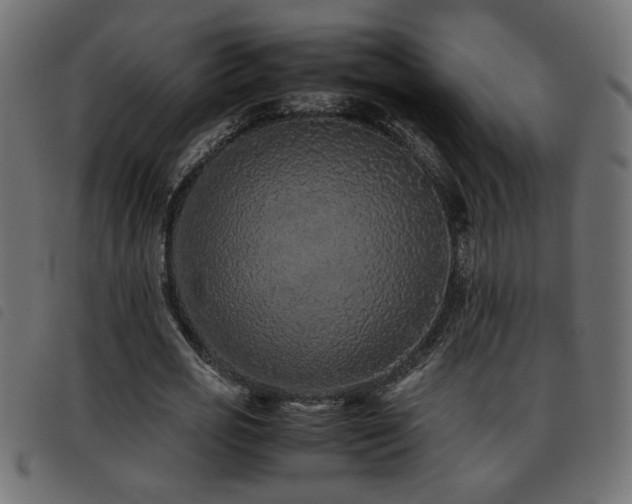 X0000093440725200710121332