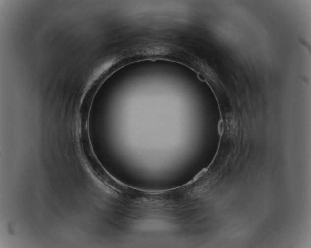 X0000093440726200710121332