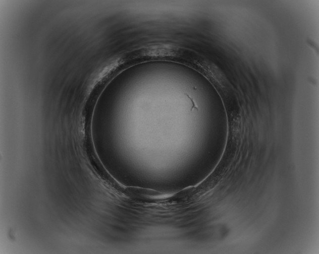 X0000093440727200710121332