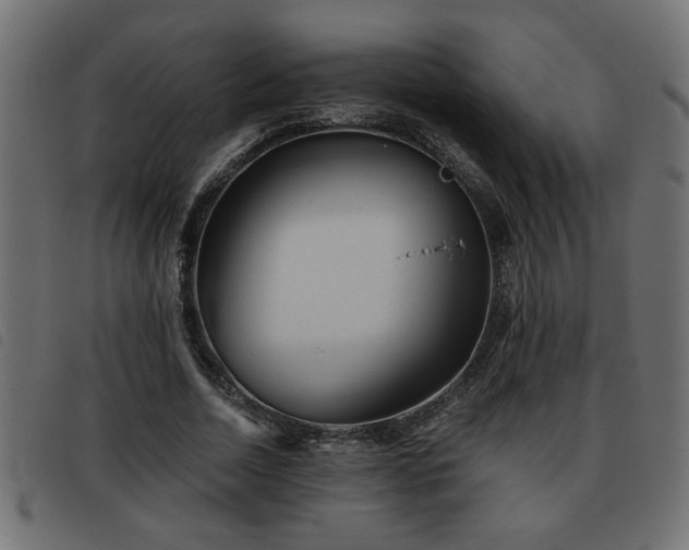 X0000093440730200710121332