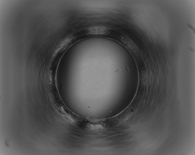 X0000093440731200710121332