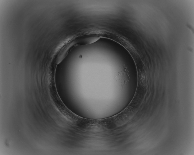 X0000093440732200710121332